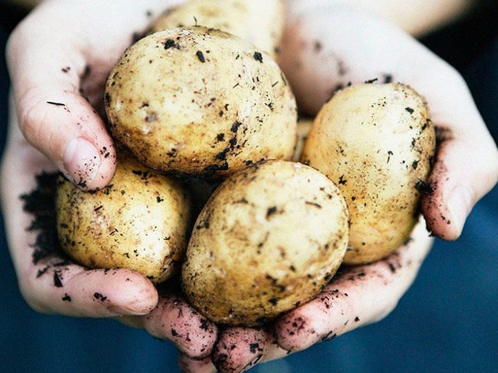 Potato Preservation: 10 Genius Hacks To Make Your Spuds Last Longer