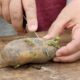 Unlock The Secrets Of Growing Your Own Seed Potatoes At Home